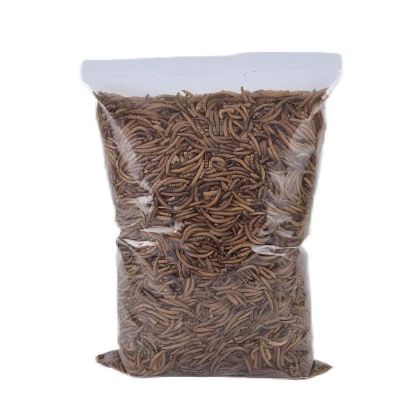 Picture of Dried Mealworm