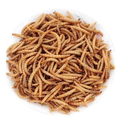 Picture of Dried Mealworm